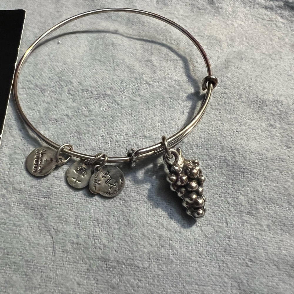 Alex and Ani grapes Silver Charm Bracelet adjustable Bangle